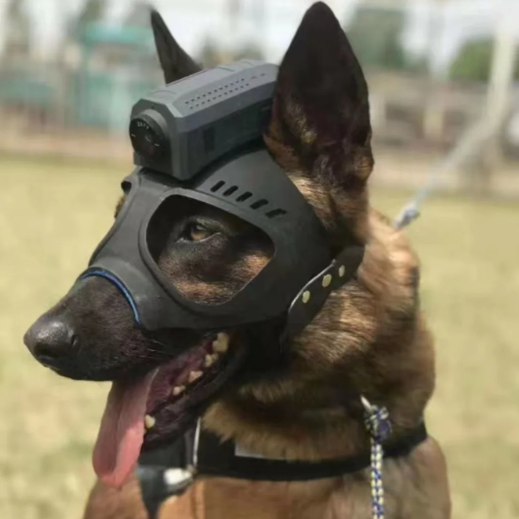 K9 Helmet Shape  Dog Tactical Helmet with helmet