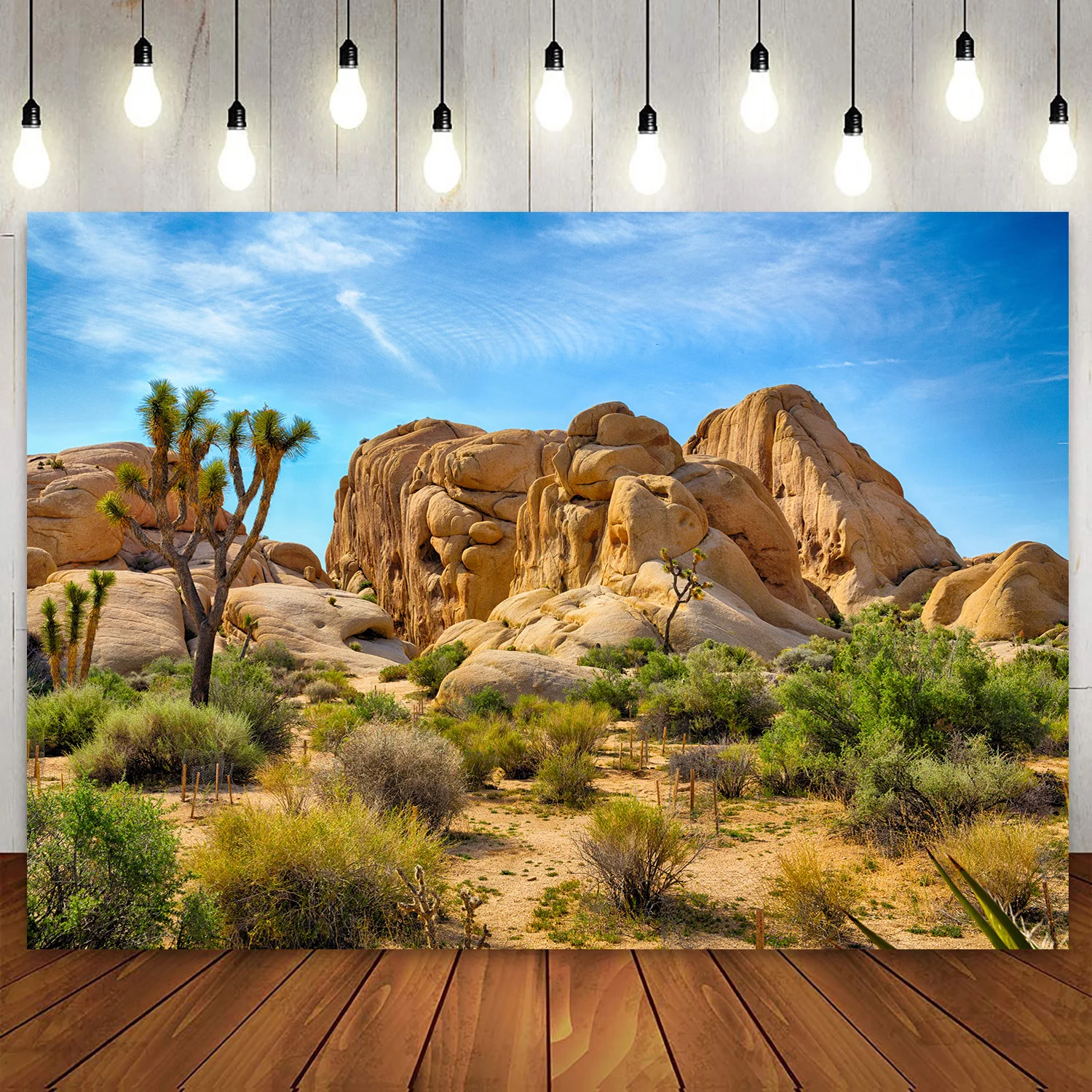 Joshua Tree National Park Backdrop Arid Barren Cactus Sandstone Rock Climate Mountain and Desert Scenery Photography Background