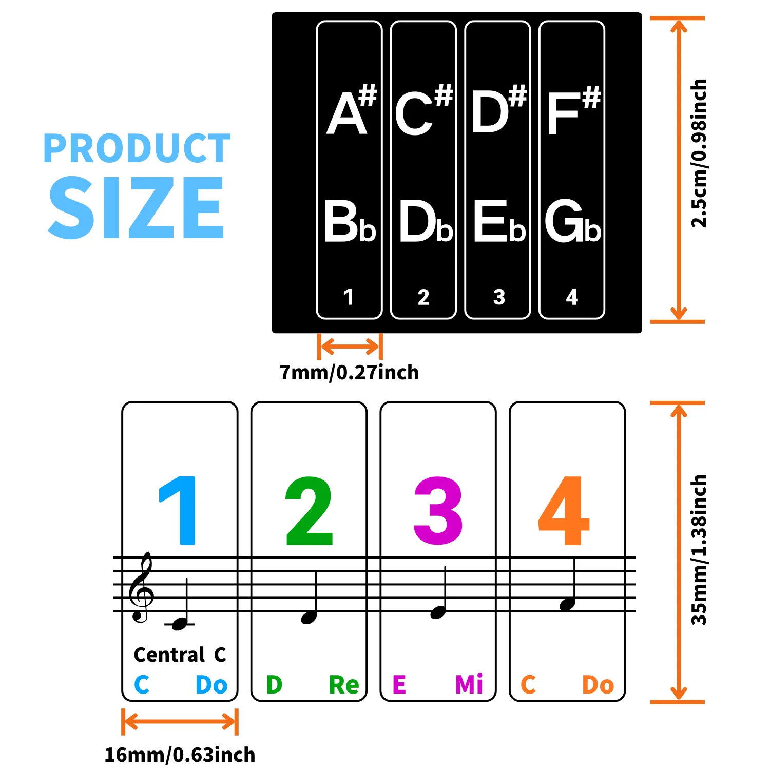 Piano keyboard stickers, suitable for 88/61/54/49/37 keys, large and easy to remember, for learning, note labels for beginners