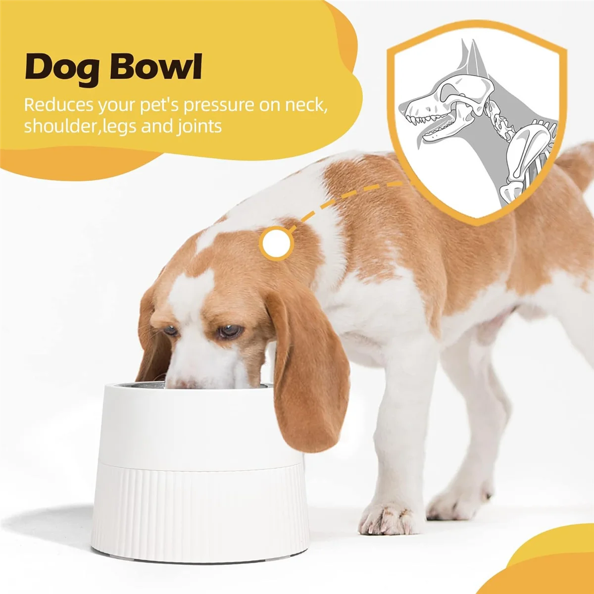 

KEKA Elevated Dog Bowl, Raised Dog Feeder with Removable Stainless Steel Food and Water Bowl, Non-Skid Dog Dish White