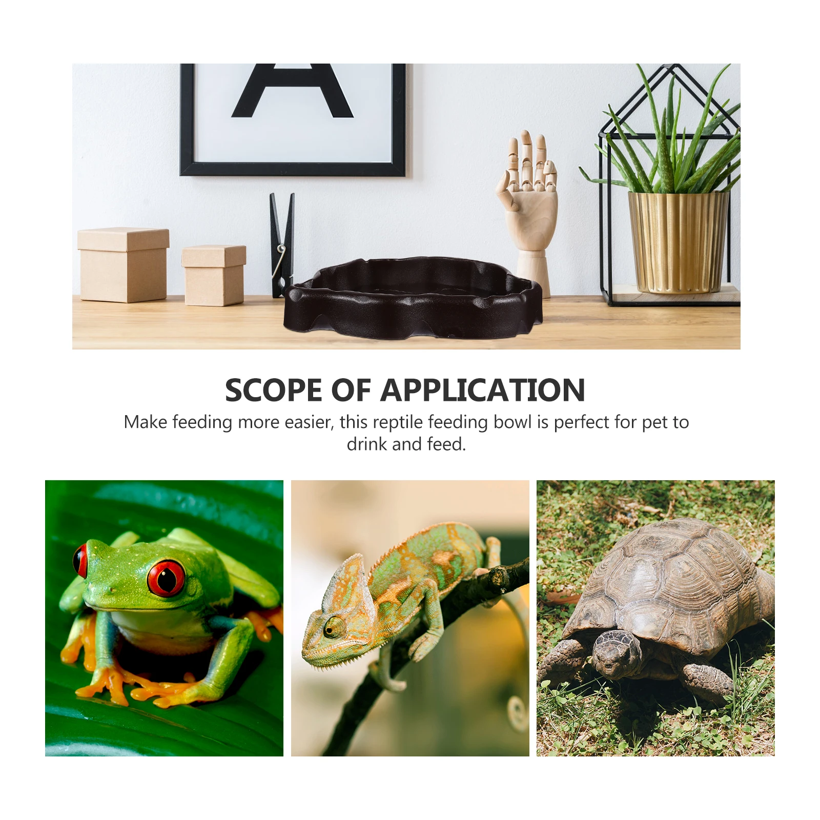 

2Pcs Reptile Feeding Bowl Solid Pet Water Dish for Gecko Lizard Dragon Beard Tortoise Lizard Worm Feeder Nonporous Safe