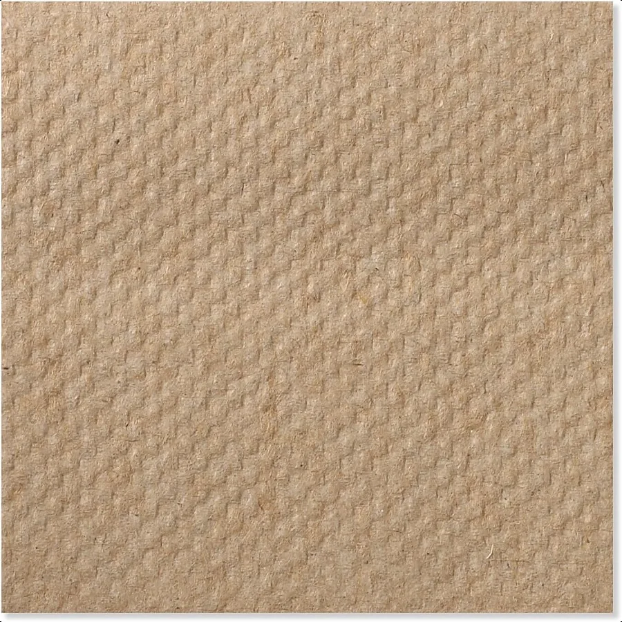 Toalla de mano plegable Tork Natural H2 Universal 100 fibras recicladas 16 x 250 hojas MK530A