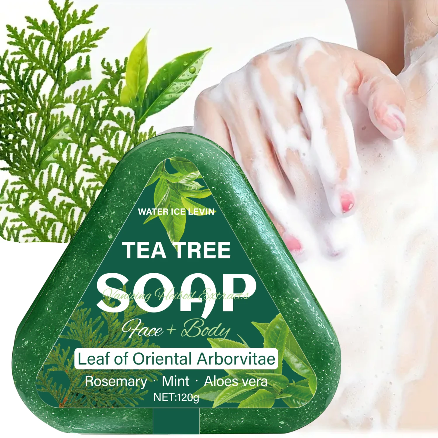 صابون شجرة الشاي (الوجه + الجسم): أوراق أربورفيتا الشرقية، إكليل الجبل/النعناع/الصبار، يرطب بلطف جميع أنواع الشعر #5