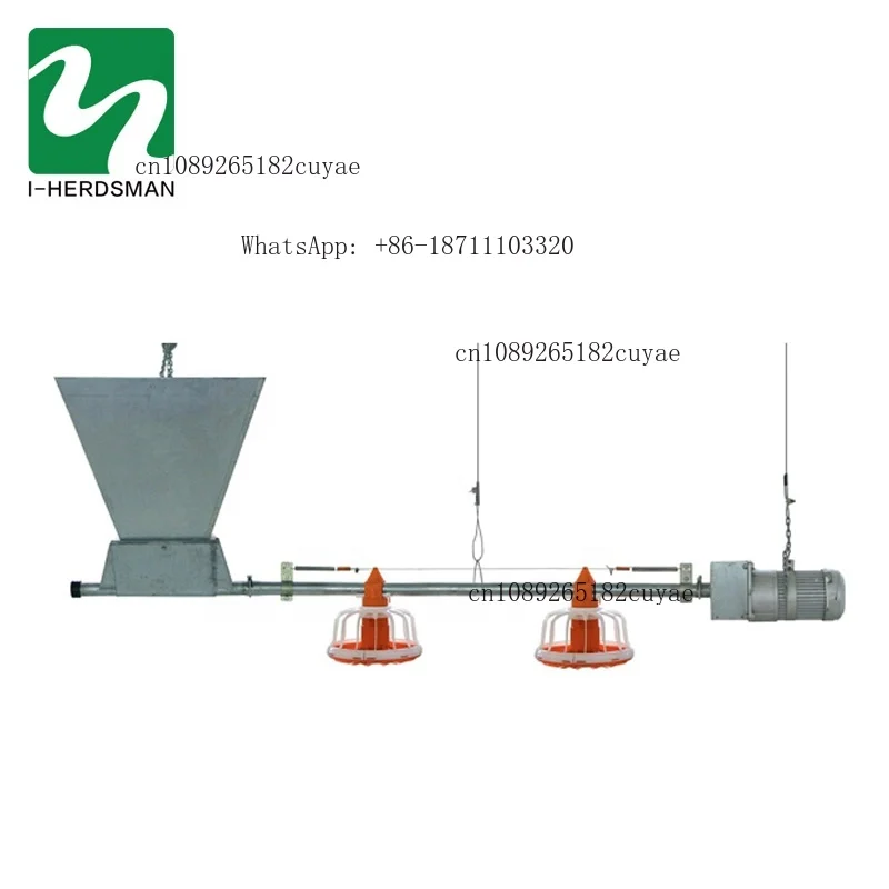 Poultry Farming Automatic Chicken Feeding Pan System Ground Floor Broiler Breeder Feeding Line