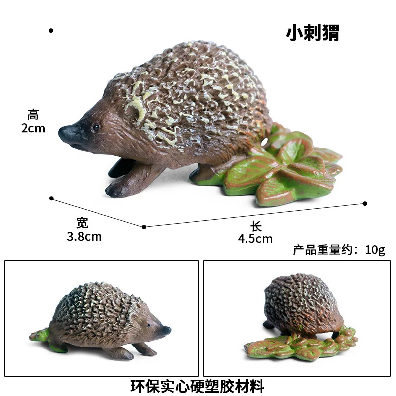 Wild animal model jungle hedgehog hedgehog mouse children science and education solid simulation model toy decoration