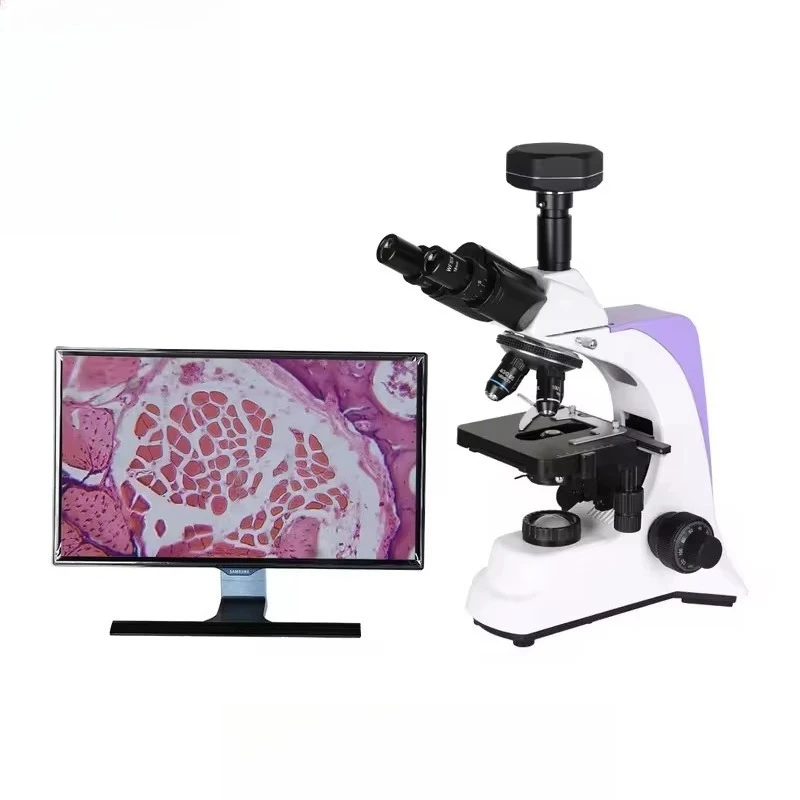 veterinary equipment, advanced veterinary equipment, trinocular microscope imaging system with 12-inch screen, suitable for
