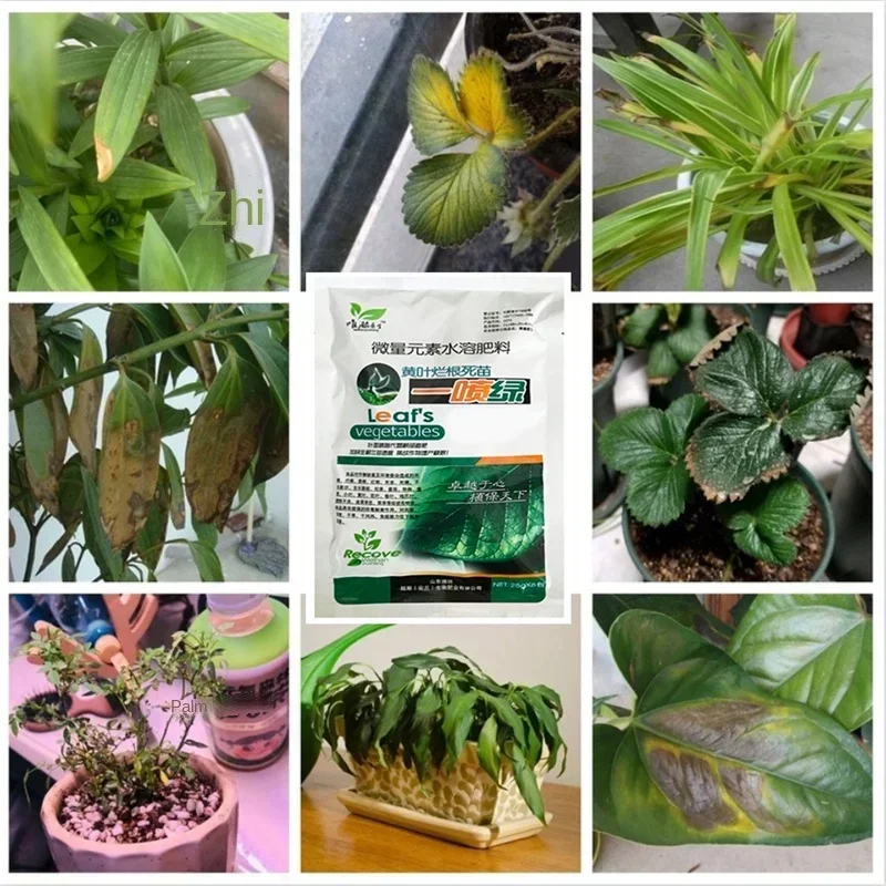 25 جرام من أوراق الشجر الخضراء، عنصر تتبع الطعام، الأسمدة القابلة للذوبان في الماء، المكملات الغذائية، علاج الأوراق غير الصحية #3