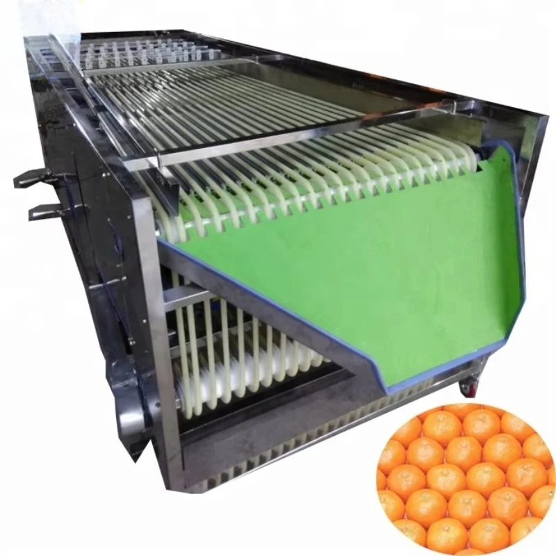 Customized Orbital Type Fruit Automatic Sorting & Grading Machine with Motor 220V/380V 0.37kW Gentle Handling
