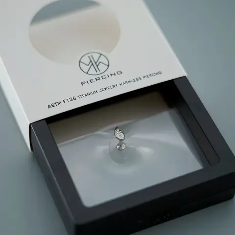 1PC G23 Titanium Rod Wing Stud Earrings For Women Simple Daily Wear Cartilage Lip Piercing Earring Punk Unisex Rock Jewelry