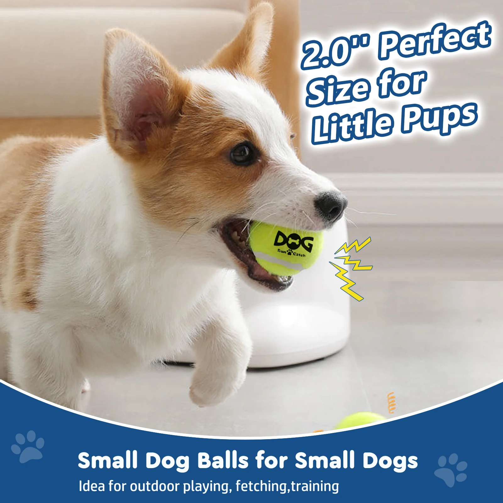 Thumbnail 2 - #17 Compare Squeaky Dog Toys Before You Buy