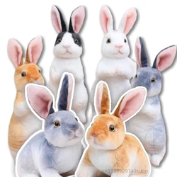 Simulation Kawaii Long Ears Realistic Rabbit Plush Toy Lifelike Animal Stuffed Doll Toys for Boys Girls Birthday Gift Room Decor