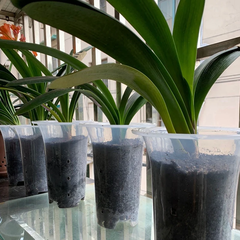 Pot bunga bening 5 inci 24 buah, Pot anggrek plastik dengan lubang Pot tanaman tinggi untuk dekorasi rumah, toko bunga