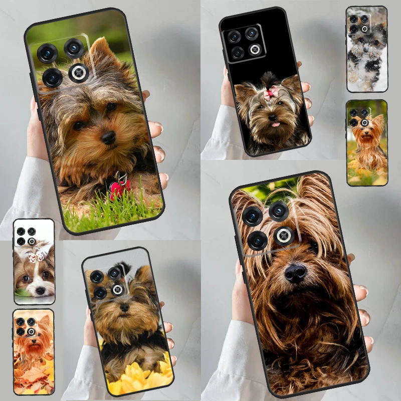 Mini Yorkshire Terrier Case For OnePlus 8 9 10 Pro 11 12 9R 10T 10R 12R OnePlus Nord 3 CE 2 Lite CE4 N10 N20 Cover