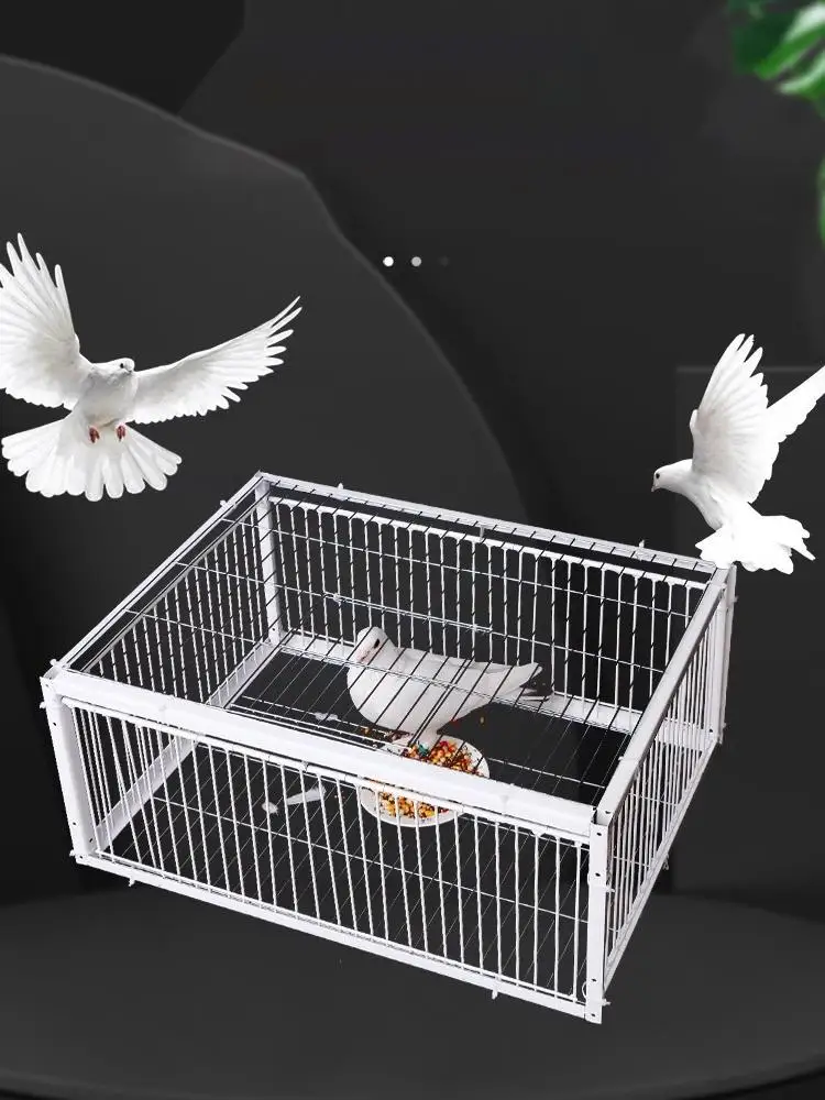 Piège automatique Cage à oiseaux Cage à lapin Cage à souris entrée seulement sans sortie épaissi chiffré automatique Pigeon collecte Pigeon Cage à oiseaux