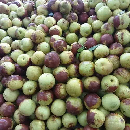 

Funny bared teeth and evil look at you with a smile creative&funny stickers for cartoon fans&lover,high quality for car trucks m