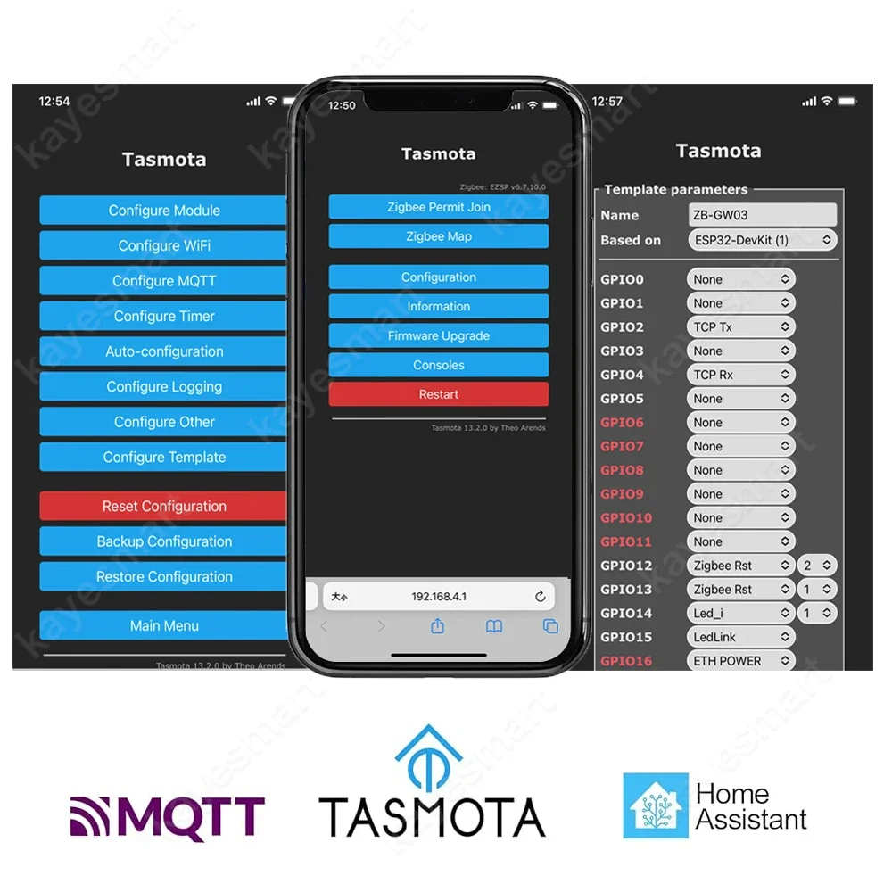 Tasmota MQTT Zigbee 3.0 Smart Wired Gateway Hub Home Automation Ethernet Bridge Support Firmware Upgrade Work with HomeAssistant