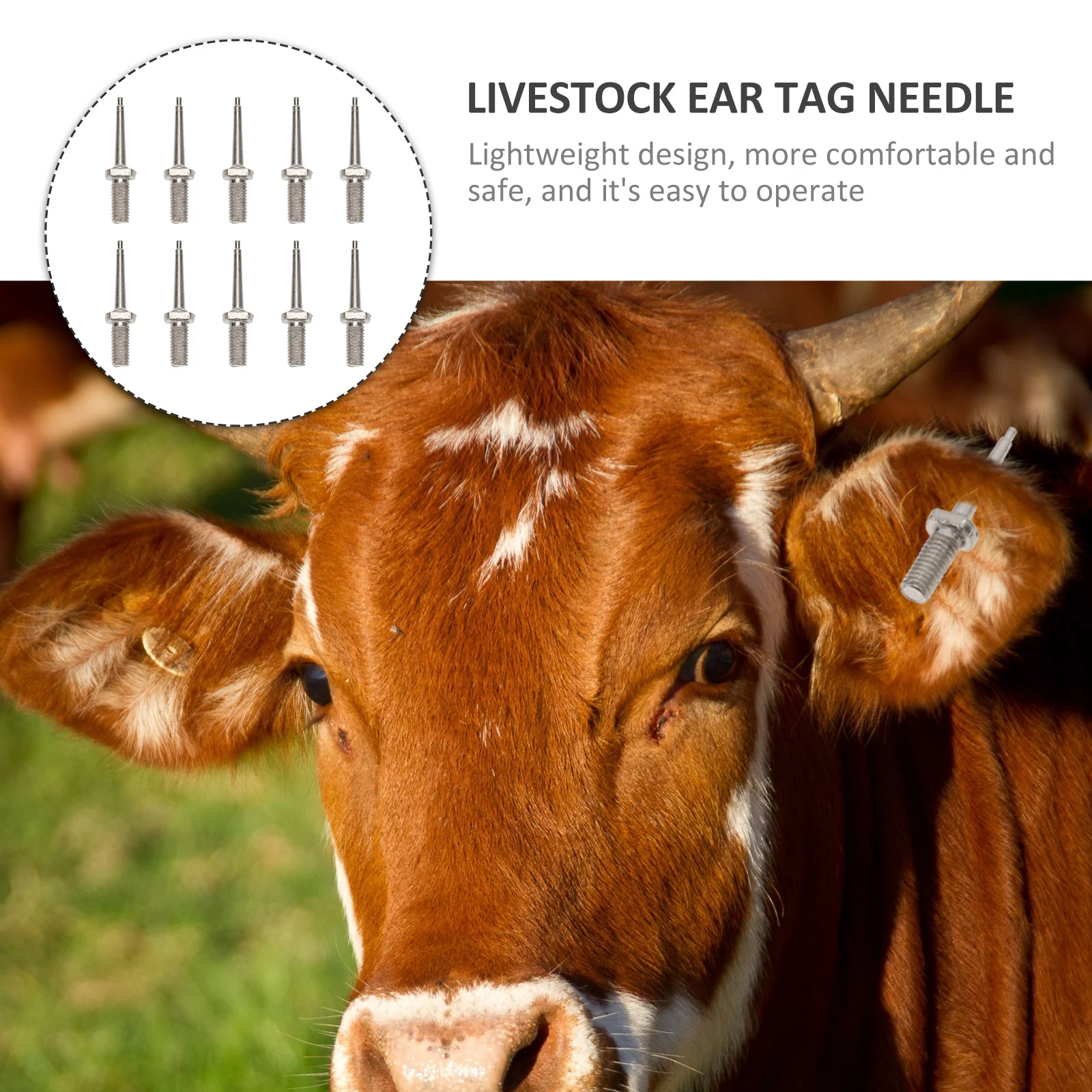 10 قطعة الفولاذ المقاوم للصدأ الأذن علامة إبرة الثقيلة للماشية خنزير الماشية الأغنام بمناسبة مزرعة اكسسوارات كماشة الإبر