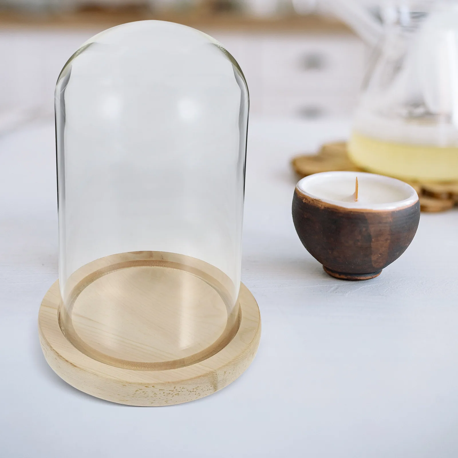 

Preserved Flower Glass Cover Transparent Plant Globe Terrarium The Floral Antiques Shade Vase
