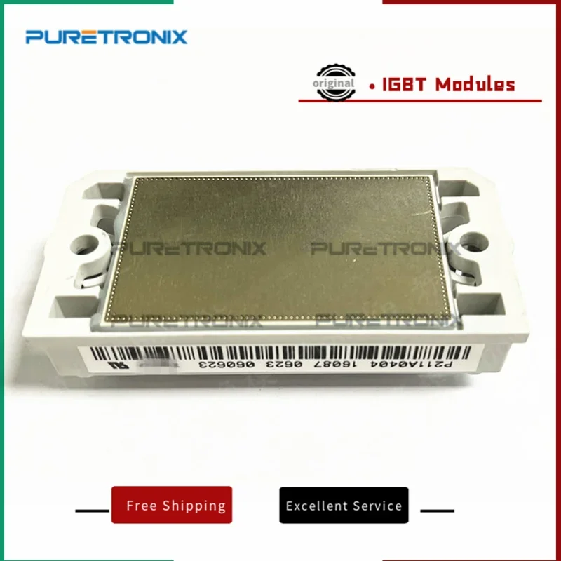 P211A0401 P211A0402 P211A0403 P211A0404 P211A0405  New Module