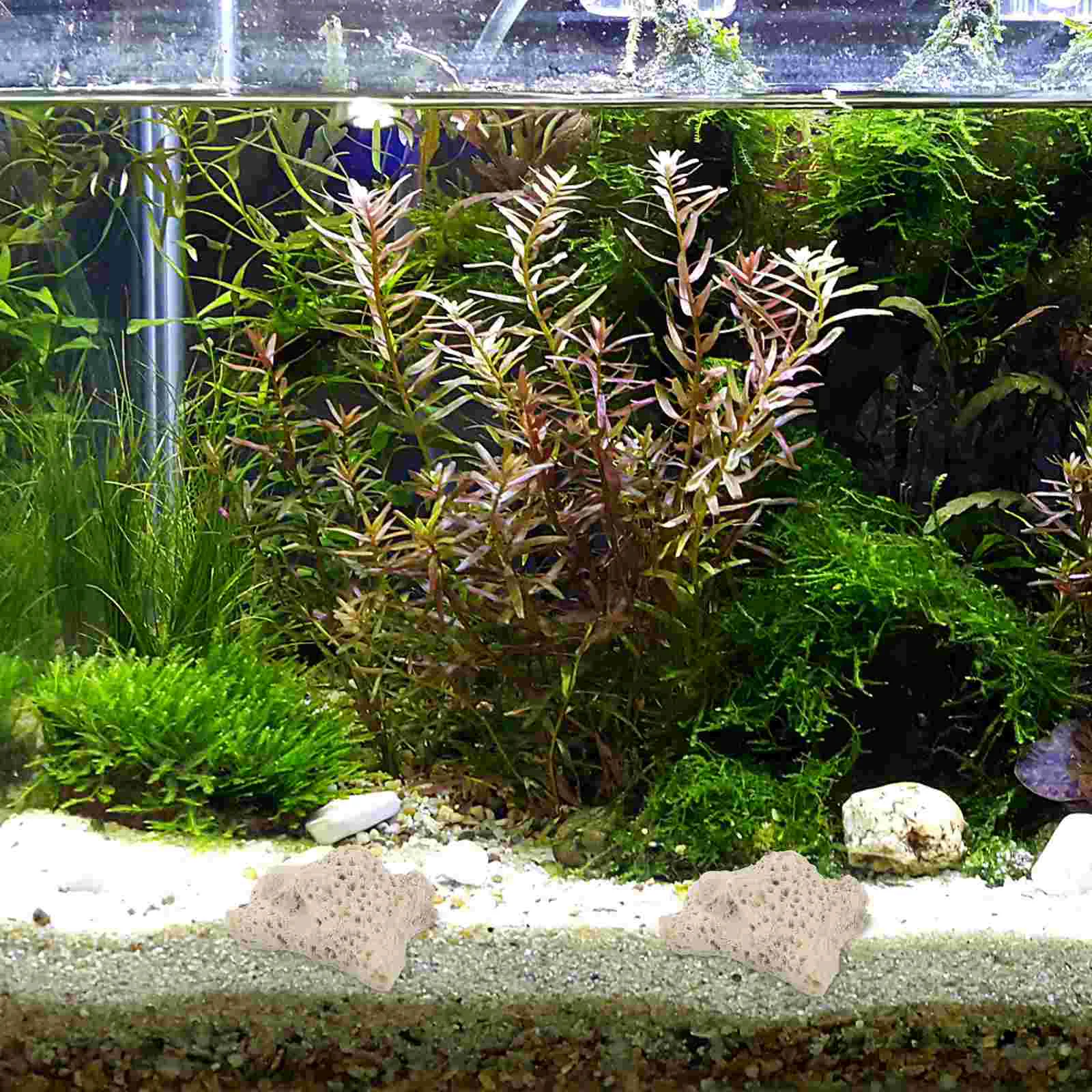 Filtr akwariowy z kruszonego materiału koralowego do żwiru kamiennego Układ akwarium słodkowodnego