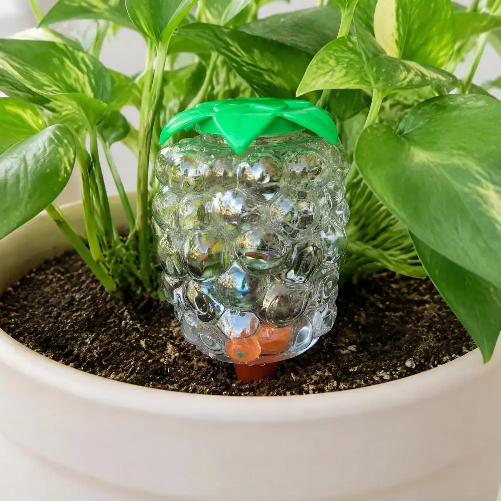 Automatic Plant Waterer Automatic Plant Watering Bulb Set Grape Shaped Self Watering Globes with Spikes Indoor Potted Plants