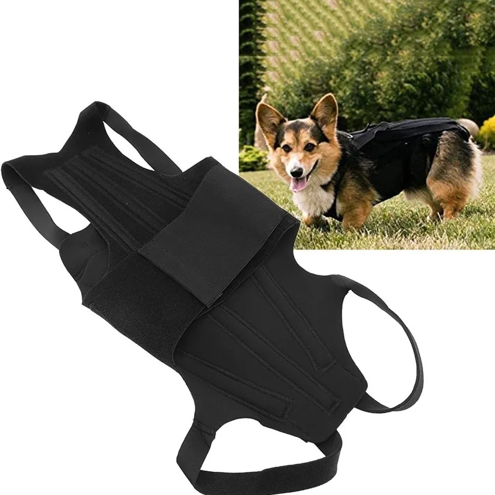 

Adjustable Dog Back Support Vest Comfortable Breathable Pet Mobility Aid Back Protector Spine Support Clothes Walking