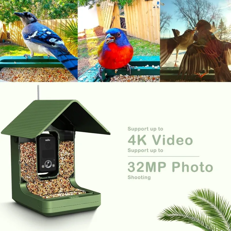 4K HD Bird Feeder with Camera, 32 MP Photo of Smart Bird House with AI Identify, 2.4G/5G Dual WiFi Wireless Bird Watching Camera