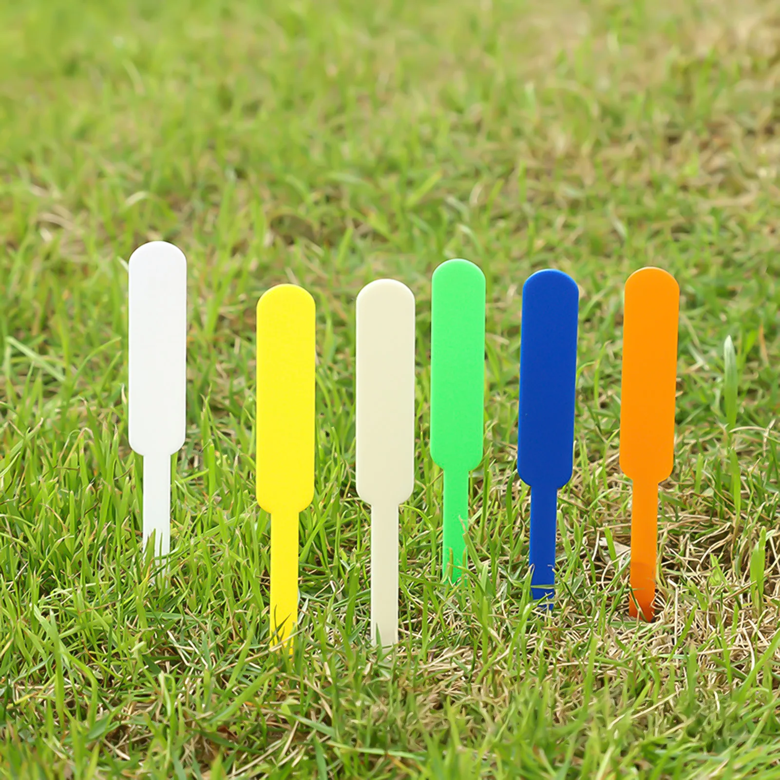 100 Stück Neue Garten-Pflanzen – Gardening Tools Labeled Bewertung und Preis