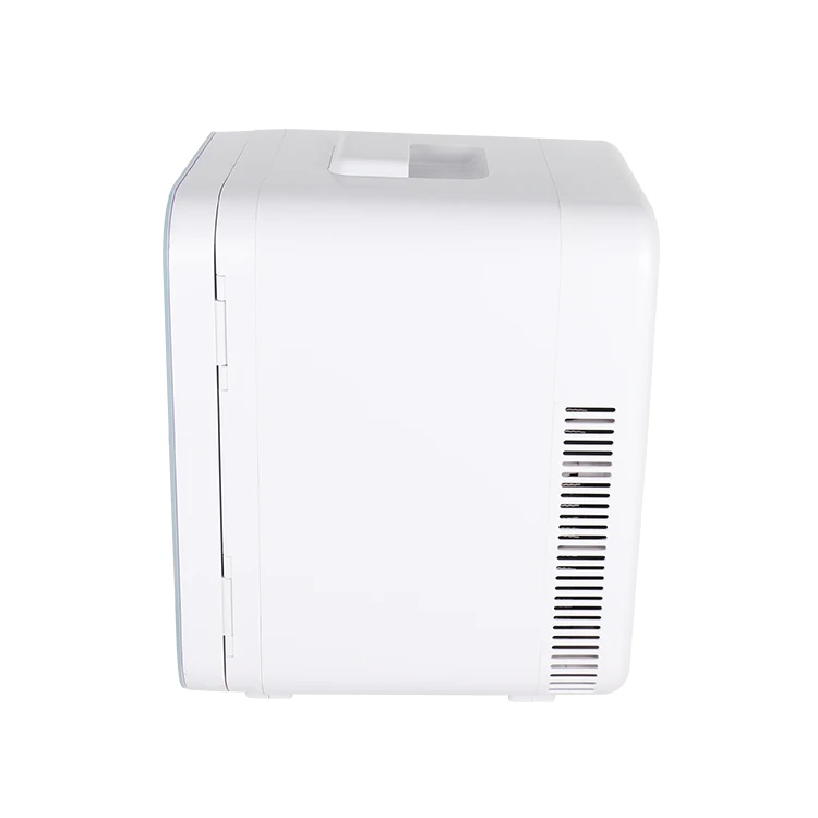 Portable 10L OEM Skin Logo Beauty Skincare Fridge Mini Cosmetic Refrigerator