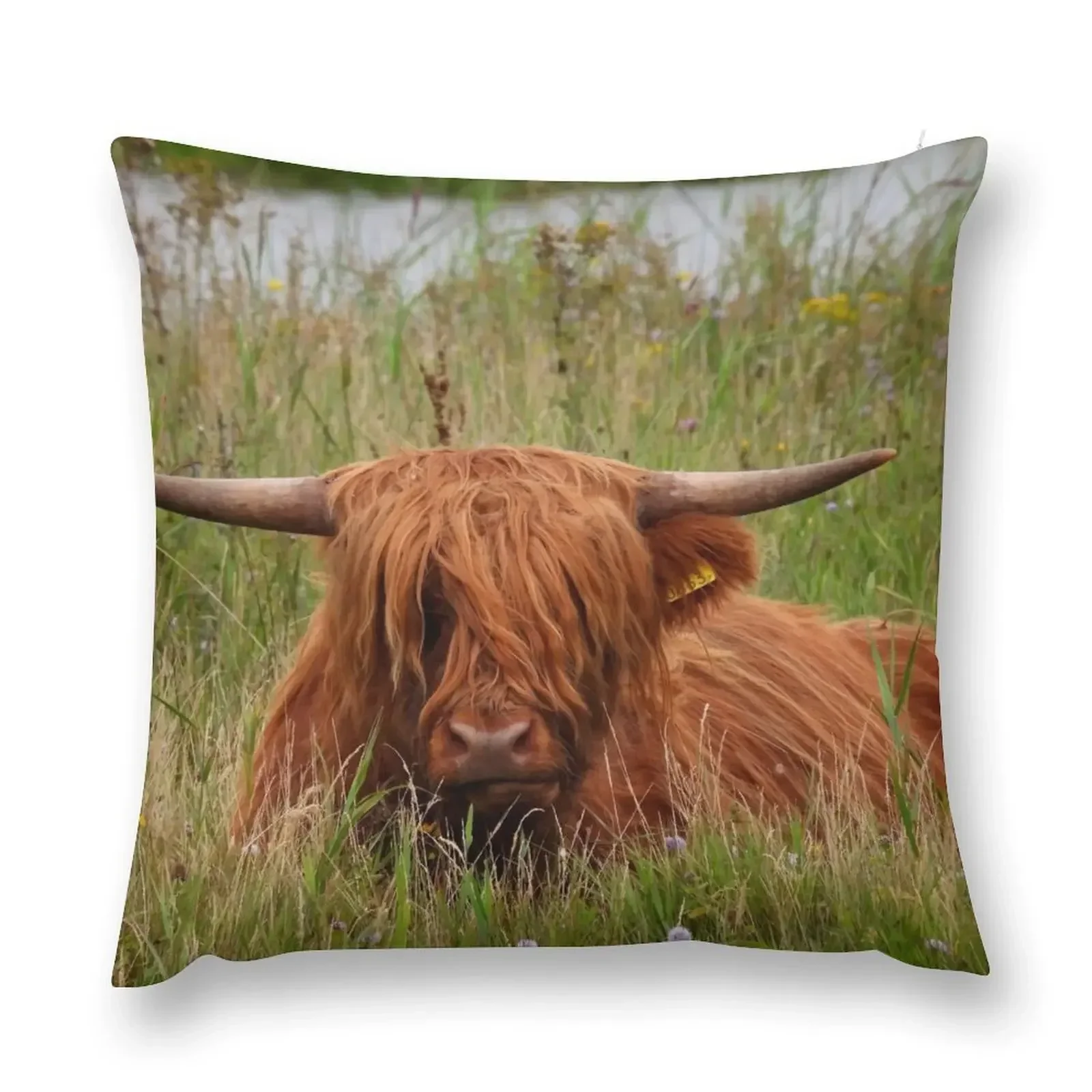 Scottish Highland Cow Throw Pillow Christmas Pillow Cases Pillowcases Bed Cushions pillow