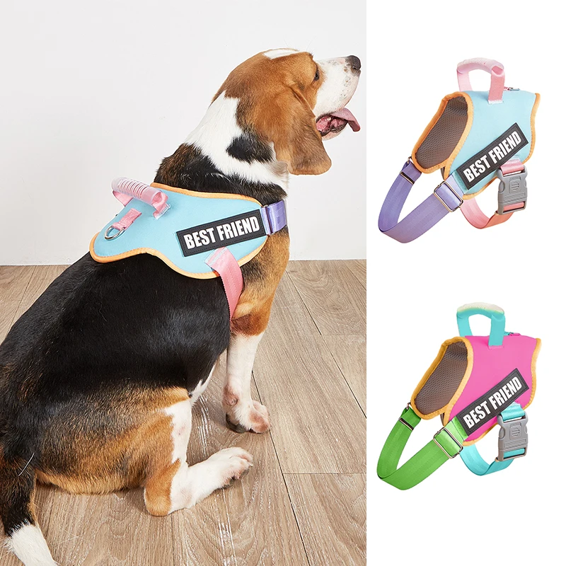 Harness Vest for Small and Medium Dogs, Macaron Color, Safety, No-Pull, Comfortable and Breathable, Mesh Lining, Chest Harness