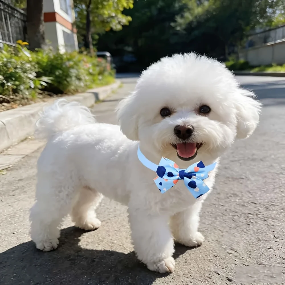 30PCS Sweet Heart Pattern Pet Bow Collar – Adjustable Cute Dog Bow Ties Accessory for Maltese, Yorkie & Small Pet Daily Wear - view 4