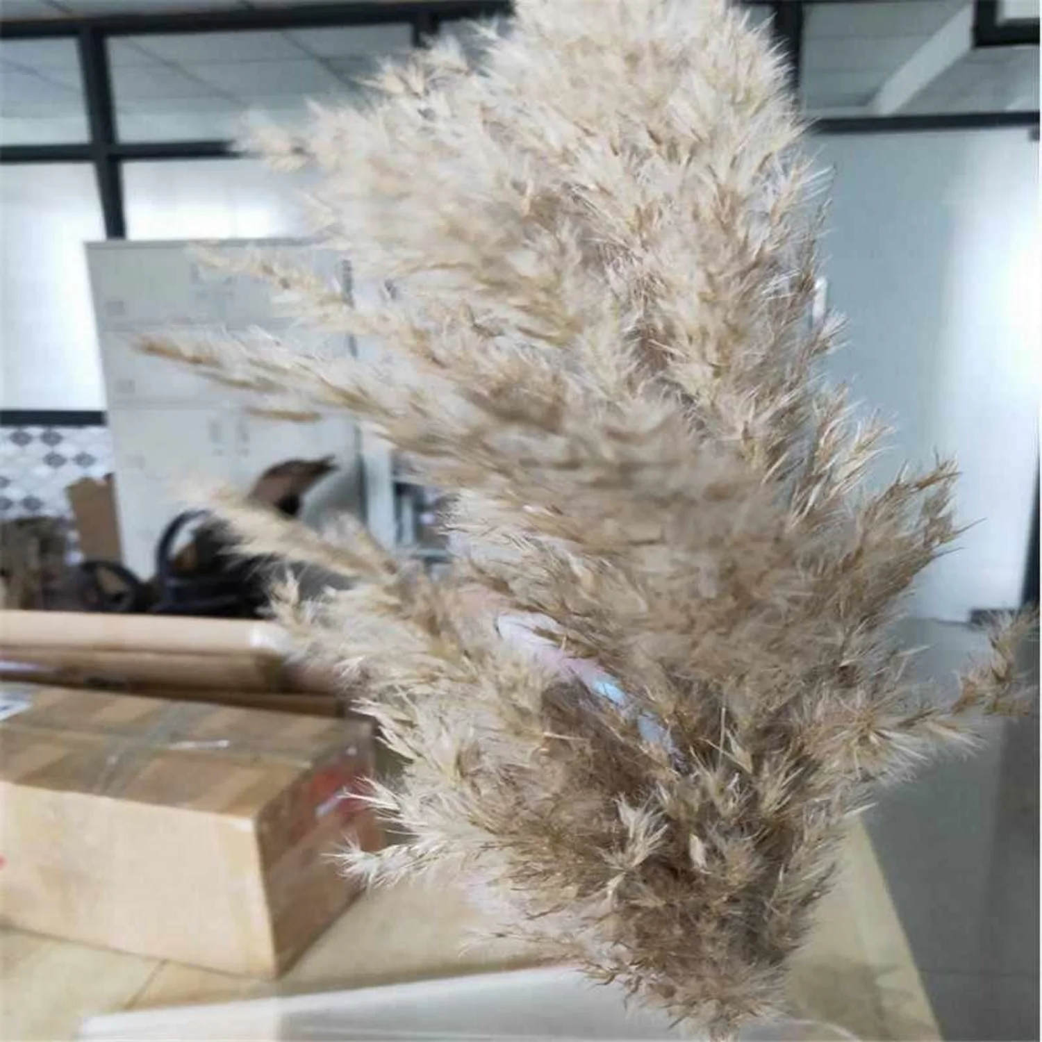 Natural Raw colors Phragmites Dried Small Pampas Grass Decor - 20 Pcs Wedding Flower Bunch