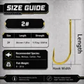 Size 2