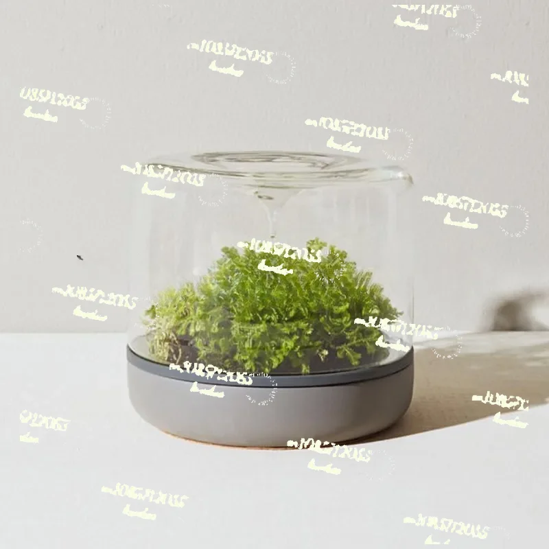 For Geonature Momo-M Geometric Natural Medium Micro Landscape Bottle Cement Bottom Simple