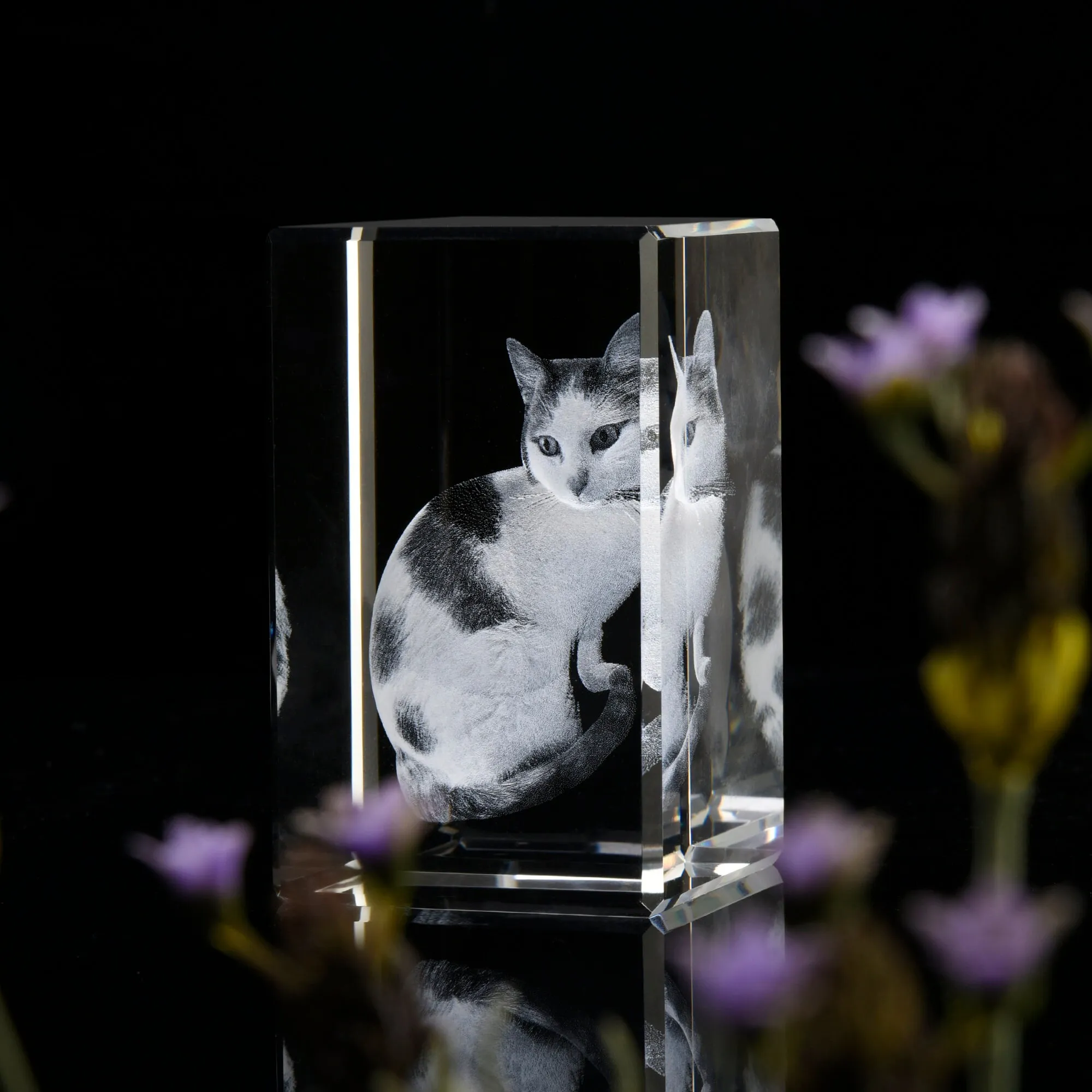 Personalized Sympathy Tribute Custom Gift for Loss of Beloved Pet with Crystal Decor Keepsake Offering for Departed Loved One