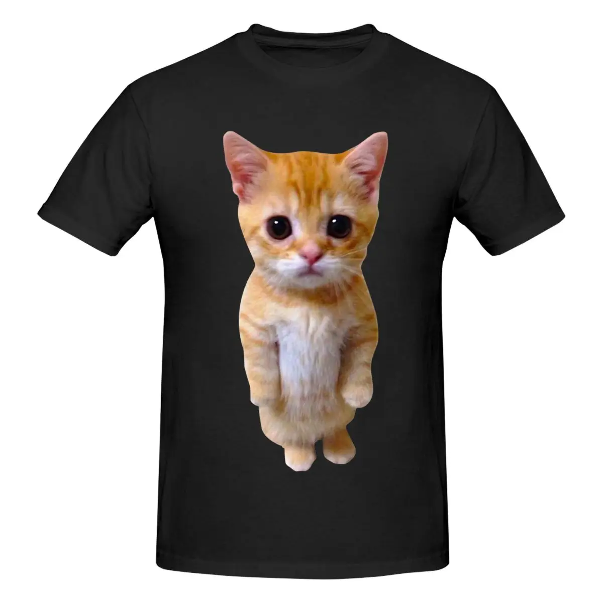 Camiseta de algodón de manga corta para hombre, estilo streetwear, talla grande, con diseño de gato triste, meme divertido, gato Munchkin llorón, tendencia 2026