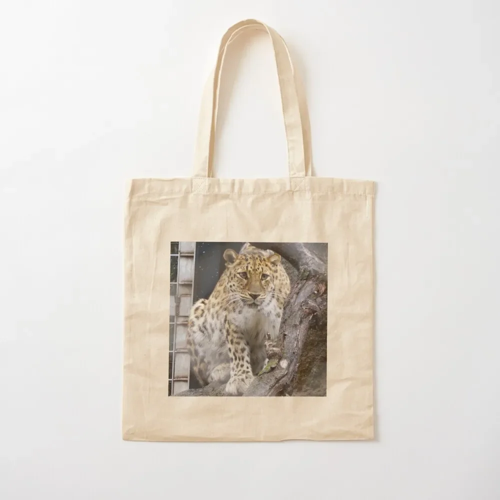 

Amur Leopard at Maryland Zoo Tote Bag university shopper bag bags for women Women's shopper bag tote bags men