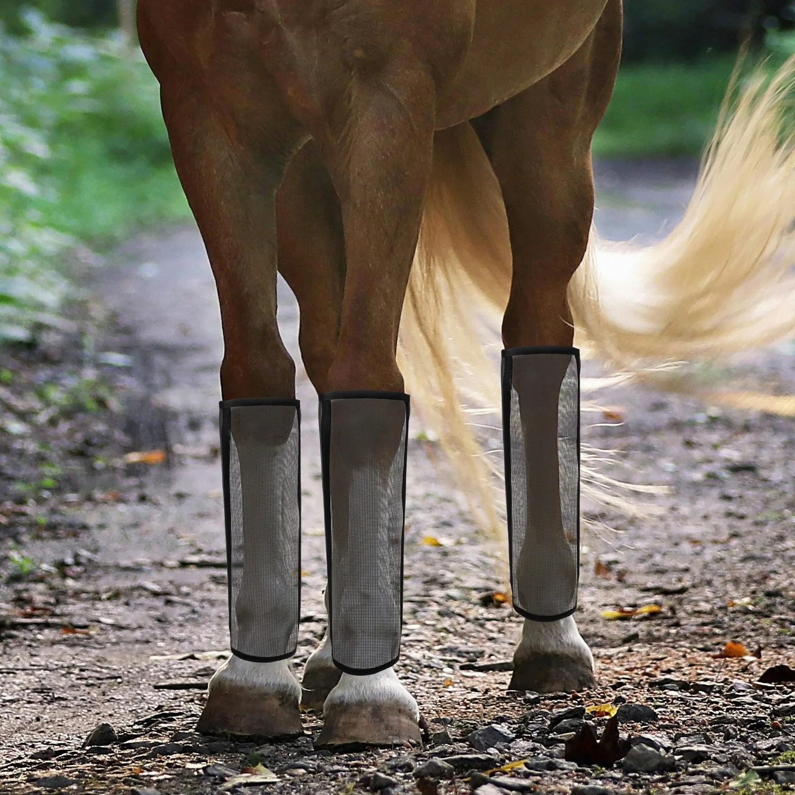 

Horse Boot Protection Breathable Fine Mesh Leg Guard Riding Boots Horses