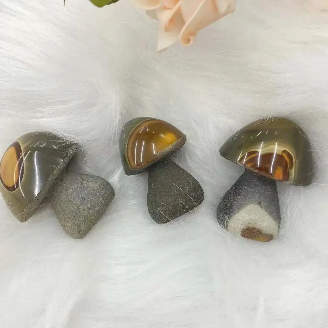 

Натуральная морская яшма, гриб рейки, лечебный домашний интерьер, украшение для комнаты, подарки, 1 шт.