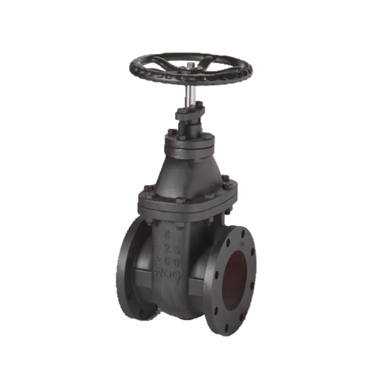 Cast iron gate valve with MSS SP-70 Class125 NRS drain dn50-500