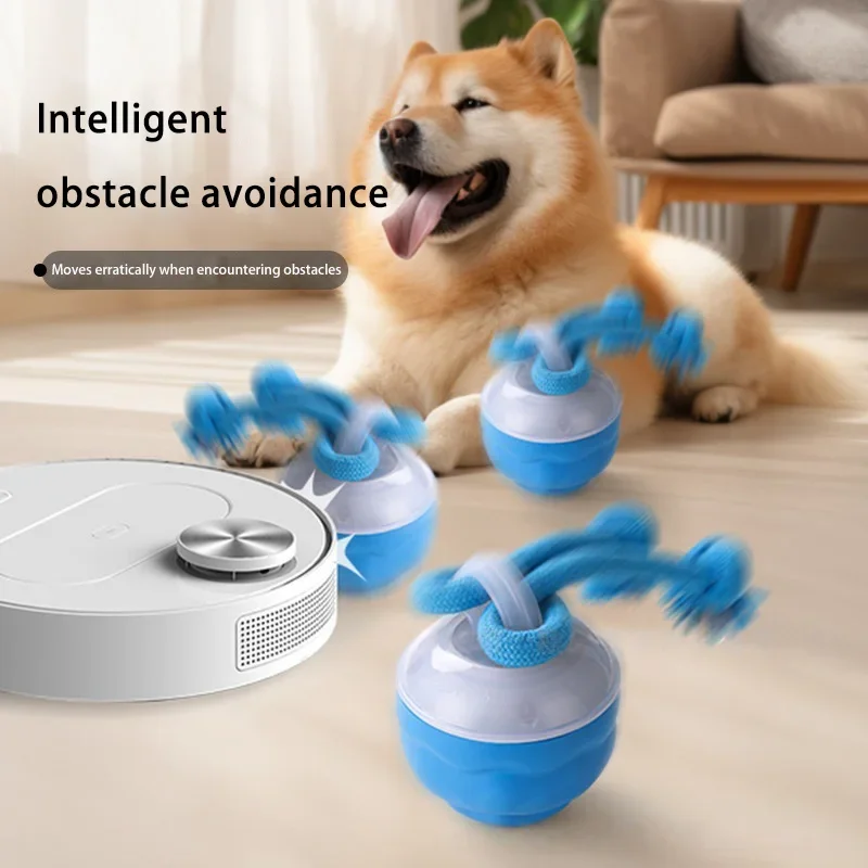 Thumbnail 2 - #7 New Dog Fetch Toys Arrivals