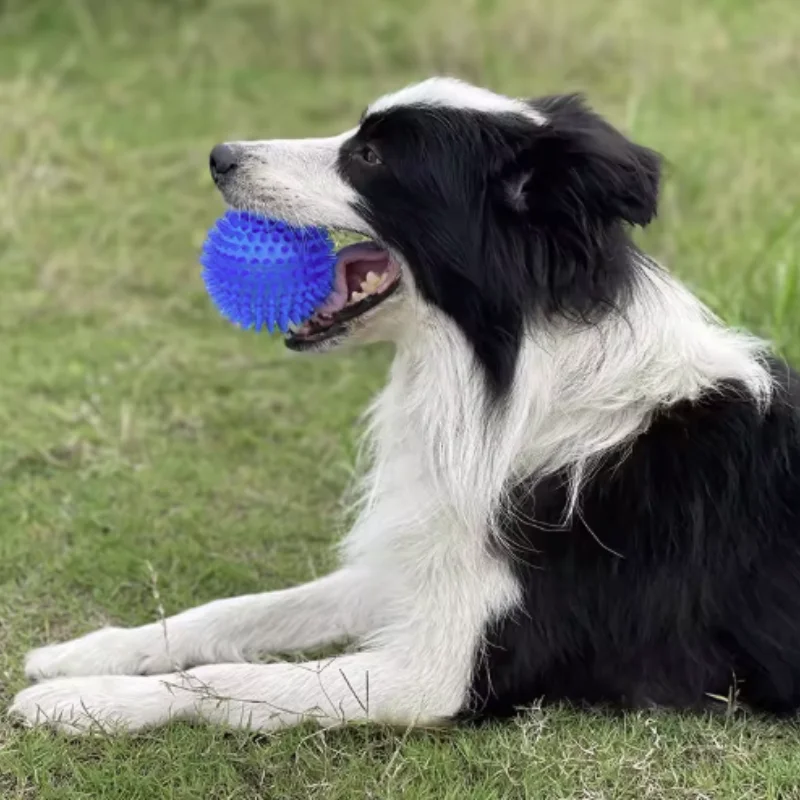 Pet Toy Ball for Cats And Dogs - Sounding Tooth Cleaning Chew Ball Training Teeth Accessories Thornless Chewing Toy for Puppy view 2