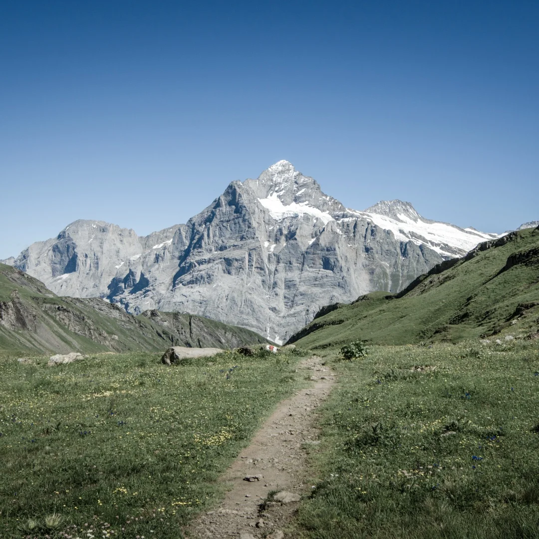 

13,1-дюймовый Android для Ford F-150 2015-2021, мультимедийный плеер, беспроводной Carplay, сенсорный экран, стереоприемник, радиоголовное устройство