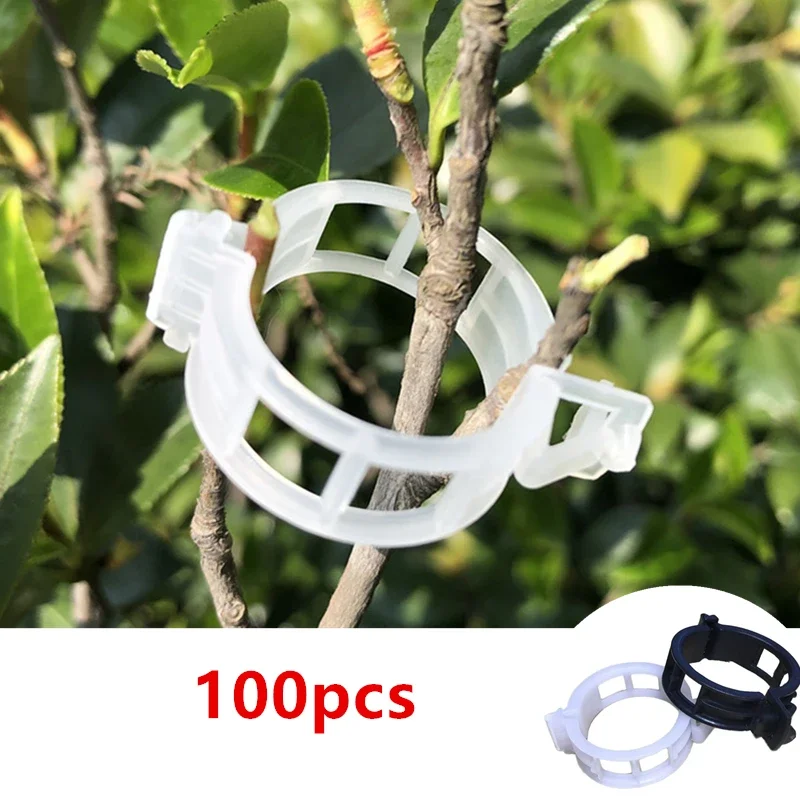 Plant Support Clips for Garden Tomato Vegetable Vines Upright and Make Plants Twine Clips Vine, Beans, Vegetables, Fruits, Rose.