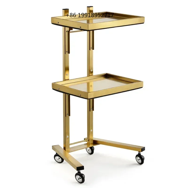 Auxiliary Cart Professional Aesthetic Storage Carts Wheels Organizers Trolleys Portable Carro Auxiliar Con Ruedas Furniture