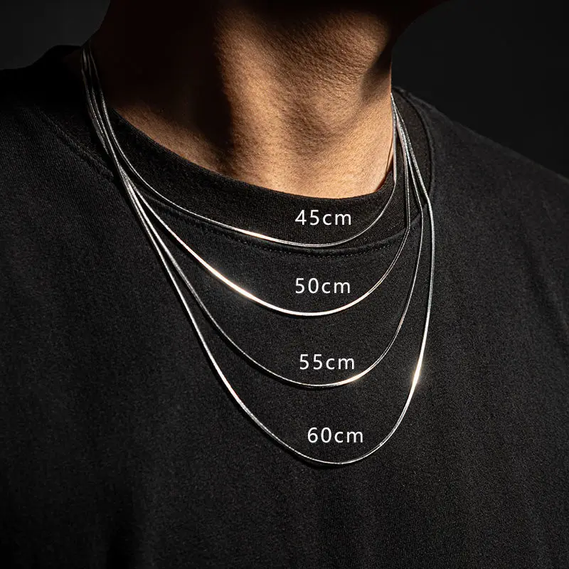 Hip-Hop-Schlangenkette für Männer und Frauen, Punk-Stil, 2 bis 3 mm, Edelstahl-Choker-Halskette, Vintage-Schmuckzubehör – Detail 2