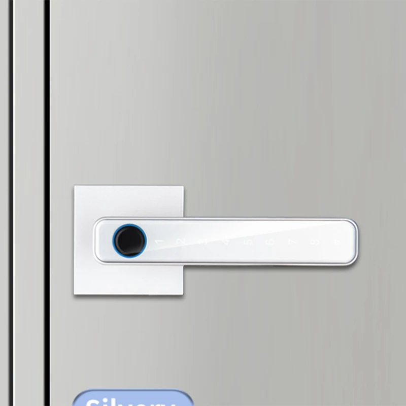JAJA Impronta digitale biometrica Smart Home Door Lock Password Controllo serratura elettronica digitale Nero(B) Facile installazione Facile da usare