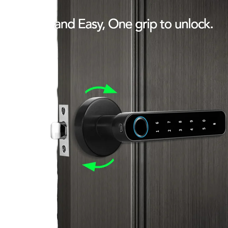 Keyless Entry Electronic Biometric APP Door Lock Smart Handle Latch Password Fingerprint Key Digital Lock Home