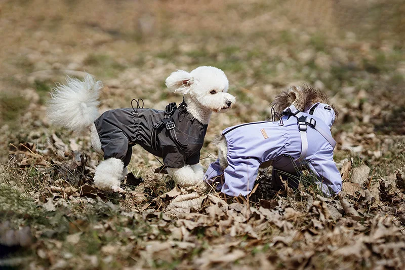 Hunderegenmantel mit Geschirr, wasserdichte Haustier-Regenjacke für kleine Hunde, verstellbarer, reflektierender Hunde-Regenoverall mit 4 Beinen – Detail 10